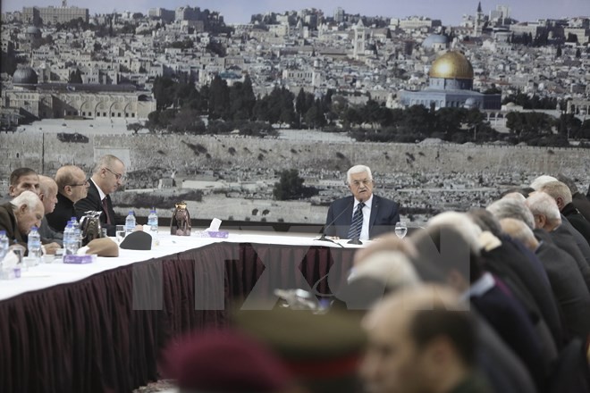 Палестина представила СБ ООН проект резолюции о прекращении израильской оккупации - ảnh 1
